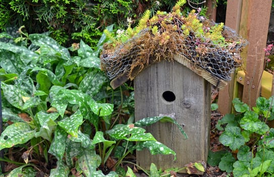 Little wooden birdhouse in the garden