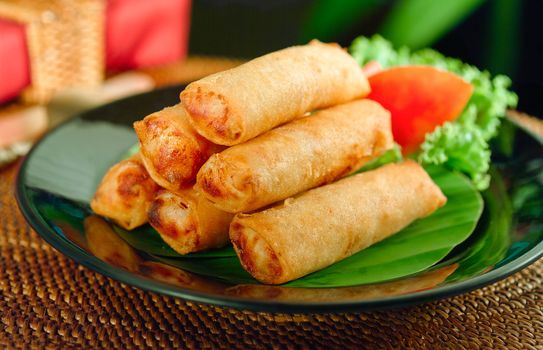 Mediterranean Moroccan fried spring roll great ap