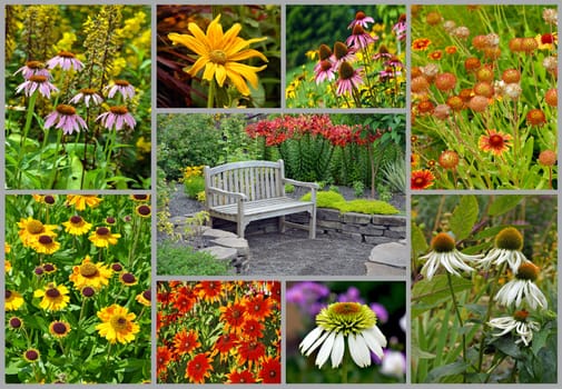 Colorful summer flower garden collage