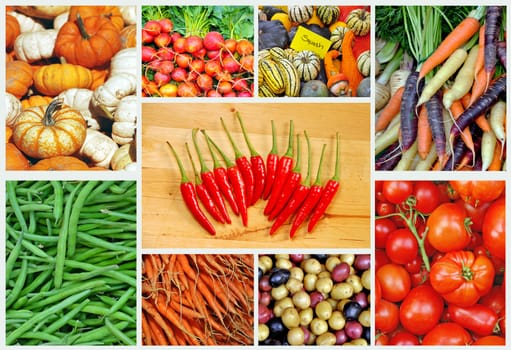 Collage of assorted colorful vegetables