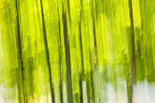 Abstract background of green forest produced by in-camera motion blur
