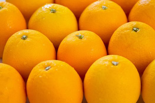 Fresh Oranges lay in rows







Fresh Oranges lay in rows