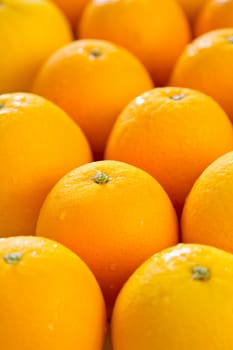 Fresh Oranges lay in rows