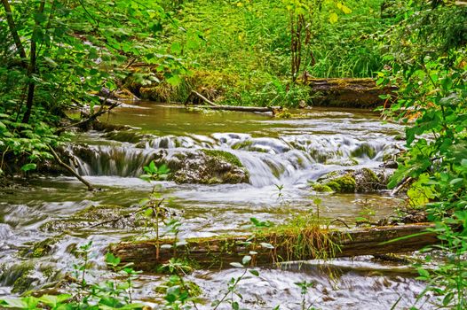 River flowing in wilderness in Bruce Peninsula, Ontario Canada