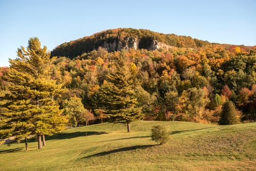 Kelso / Glen Eden Conservation Area in Milton fall colours at  old growth forests on top of the escarpment