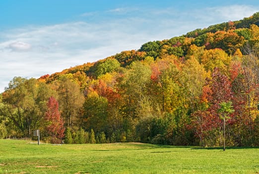 Kelso / Glen Eden Conservation Area in Milton fall colours at  old growth forests on top of the escarpment