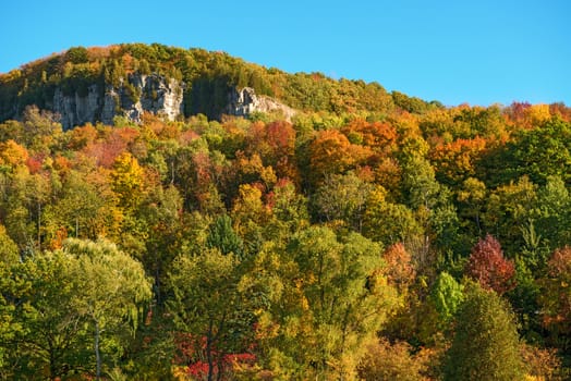 Kelso / Glen Eden Conservation Area in Milton fall colours at  old growth forests on top of the escarpment