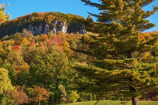 Kelso / Glen Eden Conservation Area in Milton fall colours at  old growth forests on top of the escarpment