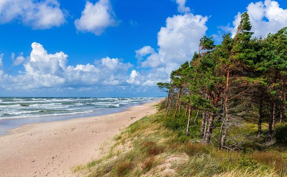 Panorama of the beautiful scenic view of storm Baltic sea, Palanga