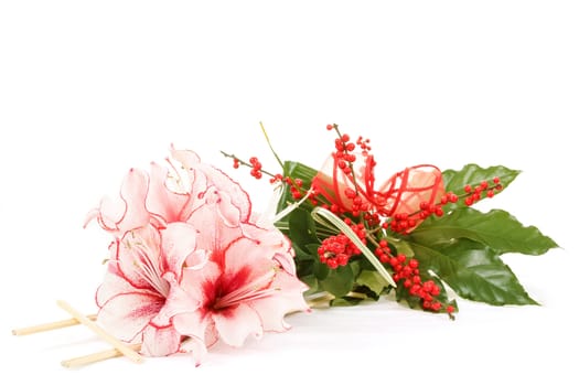 bouquet of pink lily flower on white background