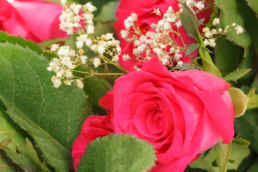 detail of fresh pink roses and green decoration