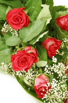 Bouquet of fresh red roses on white, with space for copy in the side