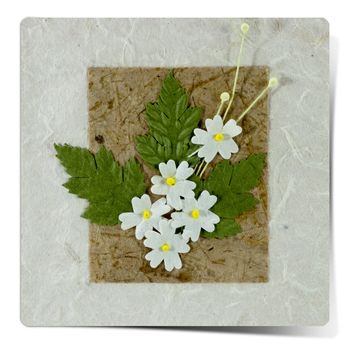 Mulburry Paper and white Artificial flower on mulberry paper background.