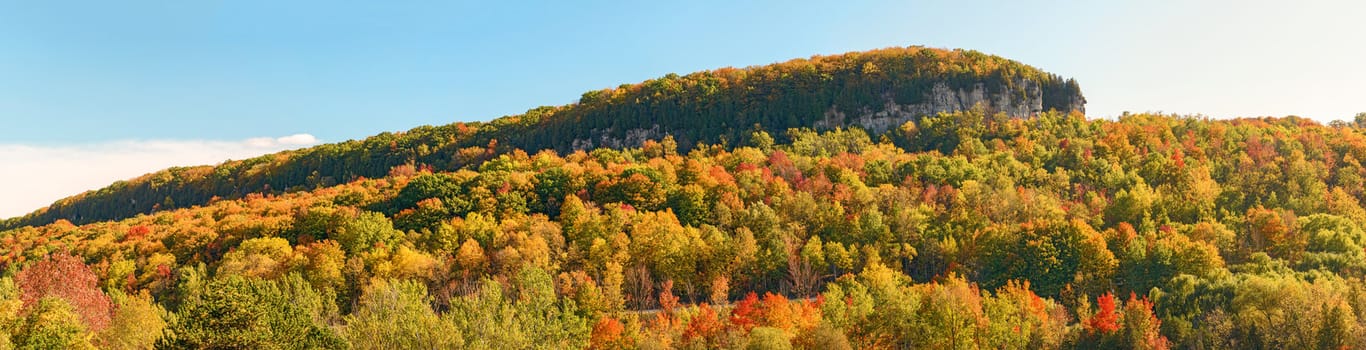 Kelso / Glen Eden Conservation Area in Milton fall colours at  old growth forests on top of the escarpment