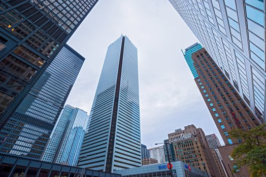 Toronto, Canada October 7, 2012. Saturday afternoon view at Toronto Bay Street skyscrapers. BMO building and Trump tower surrounded by highrise buildings.