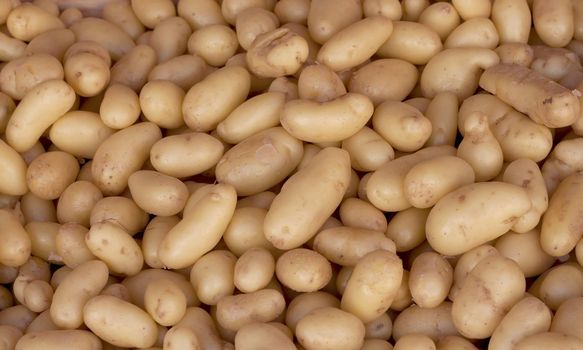 Potato background in the market of France.