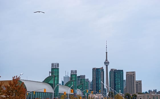 Wide angle photo of Toronto skyline and the convention centre at Exhibition Place