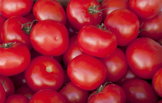 Tomato background in the market of France.