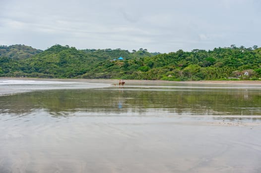 Long a mecca for surfers, the 2-mi-long pale-brown Playa Venao, in a deep, half-moon bay surrounded by largely deforested hills, has some of Panama's most consistent surf, and what could be the country's best beach break.