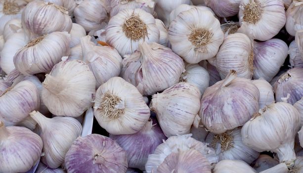 Garlic background in the maket at the Grenoble,France.