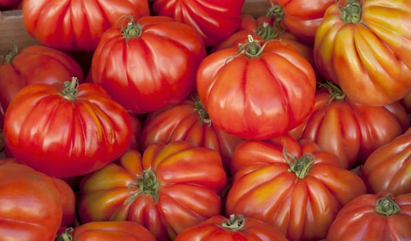 Tomato background in the market of France.