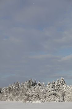 Beautiful winter landscape in the forest outside