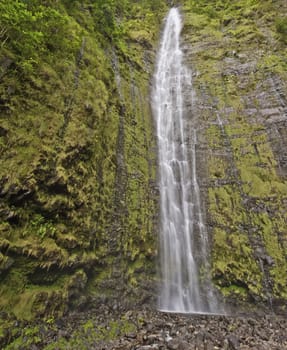 The Waimoku falls are at the end of the popular Waimoku Falls Trail on Maui Hawaii and about 120 meter tall.