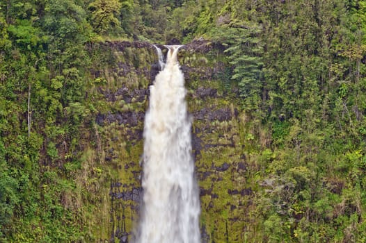The Akaka Falls on Big Island of Hawaii are one of the most beautiful waterfalls of the world