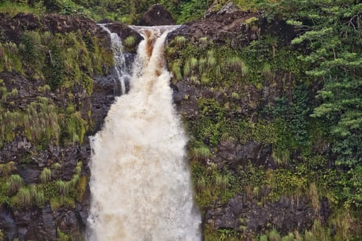 The Akaka Falls on Big Island of Hawaii are one of the most beautiful waterfalls of the world