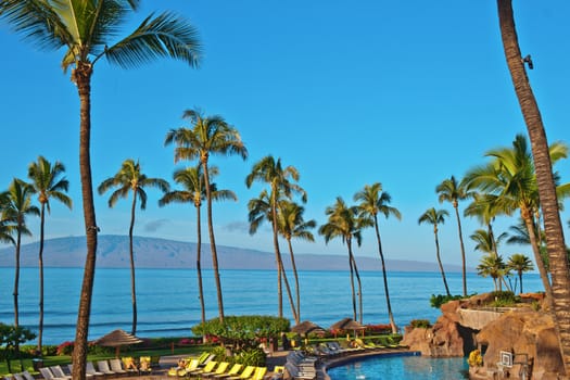 Palm trees, swimming pool on beach resort in Maui Hawai