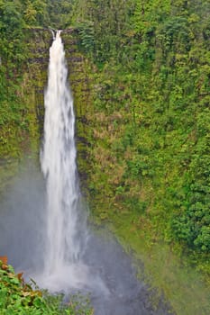 The Akaka Falls on Big Island of Hawaii are one of the most beautiful waterfalls of the world