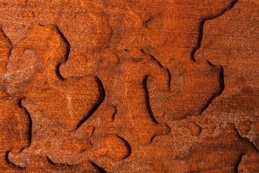 Wet wooden varnished board rain drops closeup as background