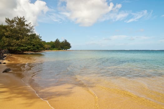 Photo of the Hawaiian  beach with late afternoon sunlight. 
