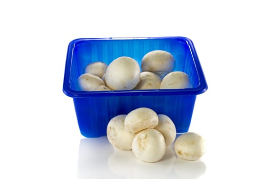 blue box with mushrooms isolated on white