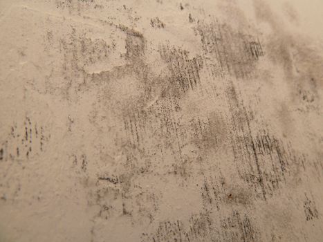 dirty mold on a surface as a background
