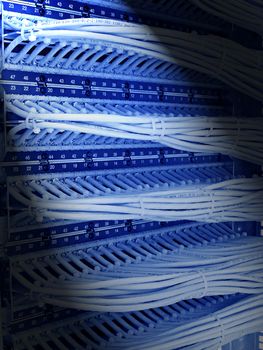 kind of wiring closet patch panels with 6-th category in the background