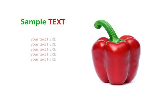 Sweet red pepper isolated on white background with sample text