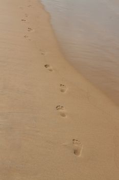 footprints in the sand on the beach stretching into the distance