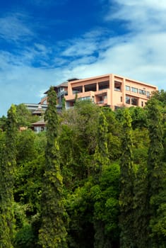 house in the rainforest in the sky with clouds