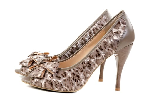 A pair of female leopard shoes in the studio on a white background