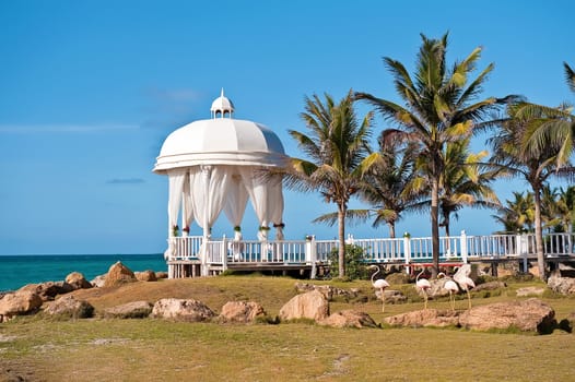 View of a white gazebo with flamingos and palm trees