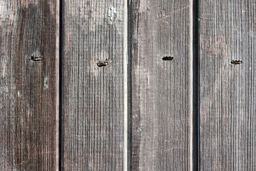 old wooden background with vertical boards