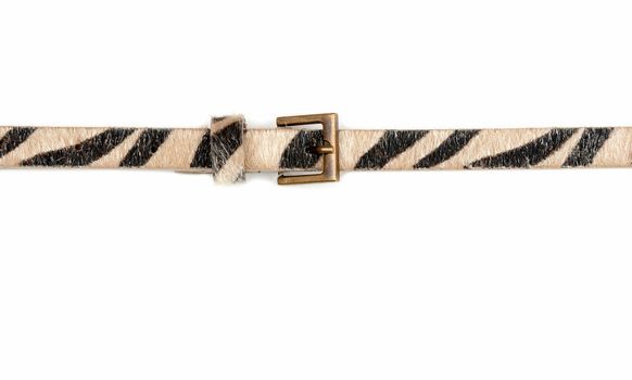 Female leopard belt isolated on white background