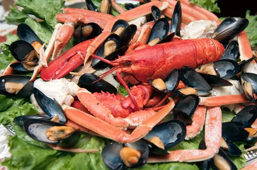 seafood platter at restaurant with oysters scallops mussels crabs 

