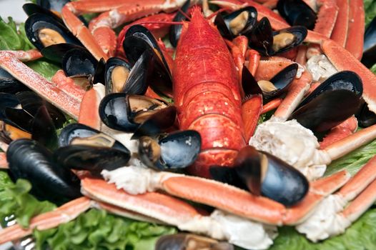 seafood platter at restaurant with oysters scallops mussels crabs 