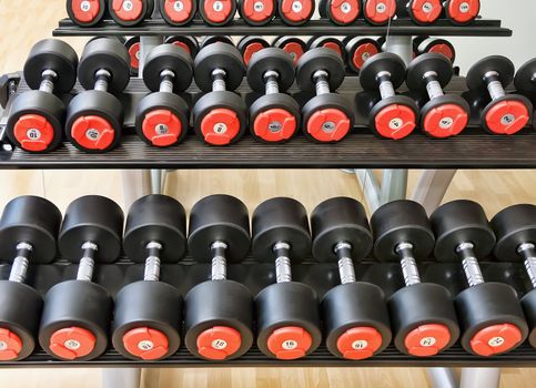 Heavy sports dumbbells in modern sports club