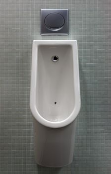 urinal with white painted a fly on the toilet in the tiled wall