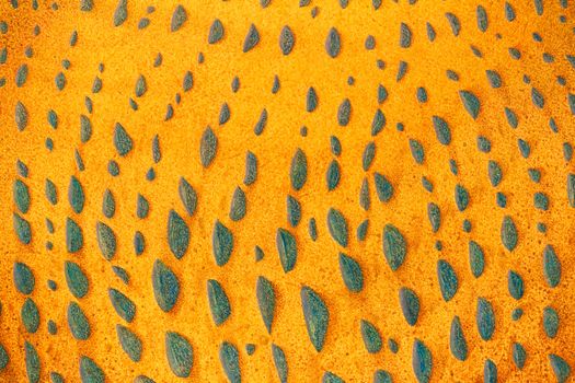 Beautiful yellow Image Of an Original Oil Painting On Canvas