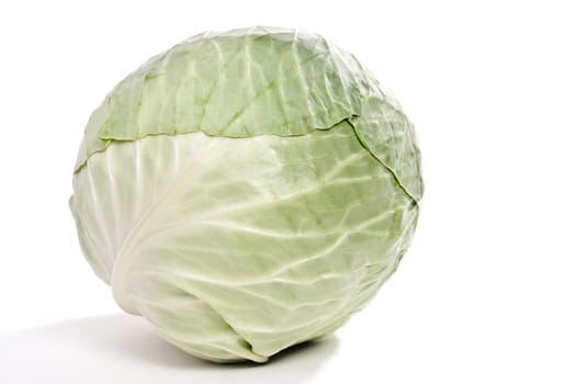 Fresh cabbage, the  image on white background