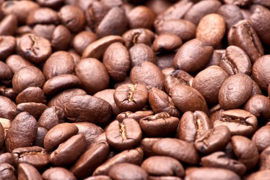 Coffee beans, close up photograph taken in studio